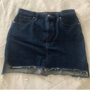 Madewell skirt